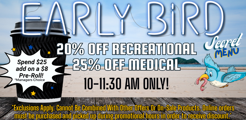 Early_Bird_12