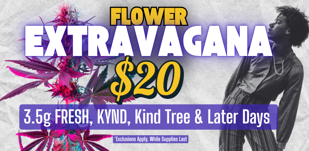 Crazy_Eddie_1000_x_488_px_8