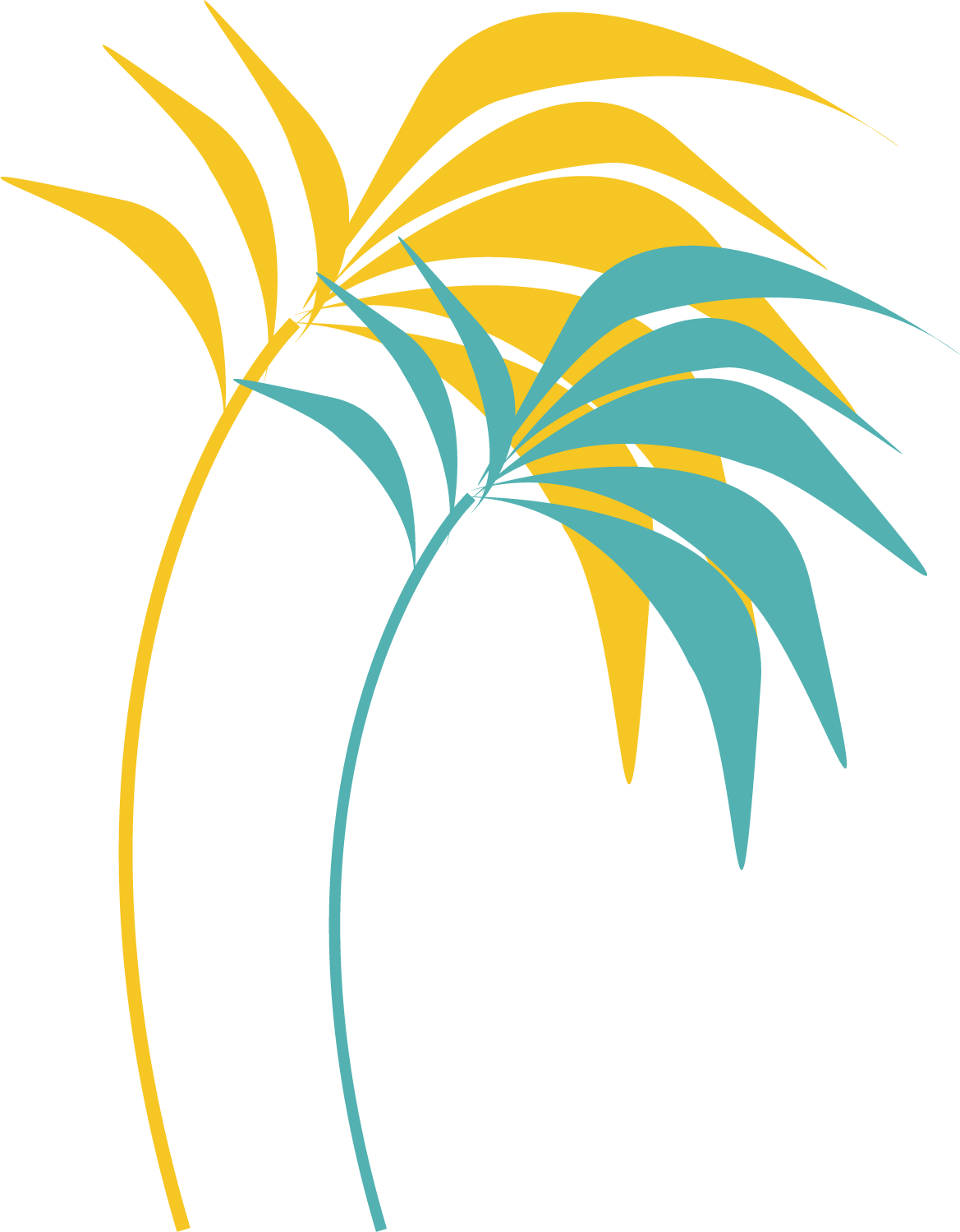 HolisticPalms